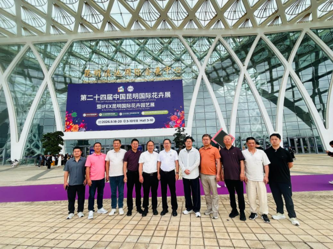 图片8.png 图片8.png
